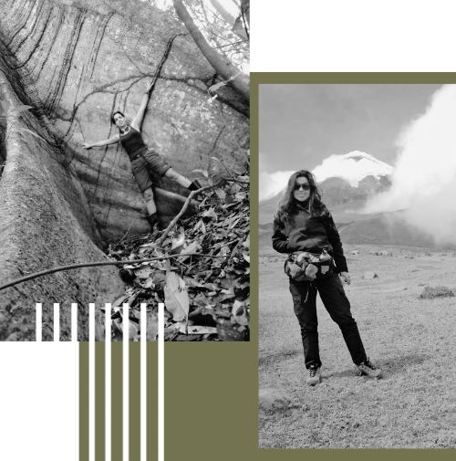 Design sem nome-15.png